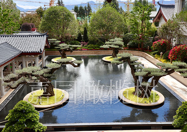 正航ERP軟件--東莞市彭氏智能科技有限公司